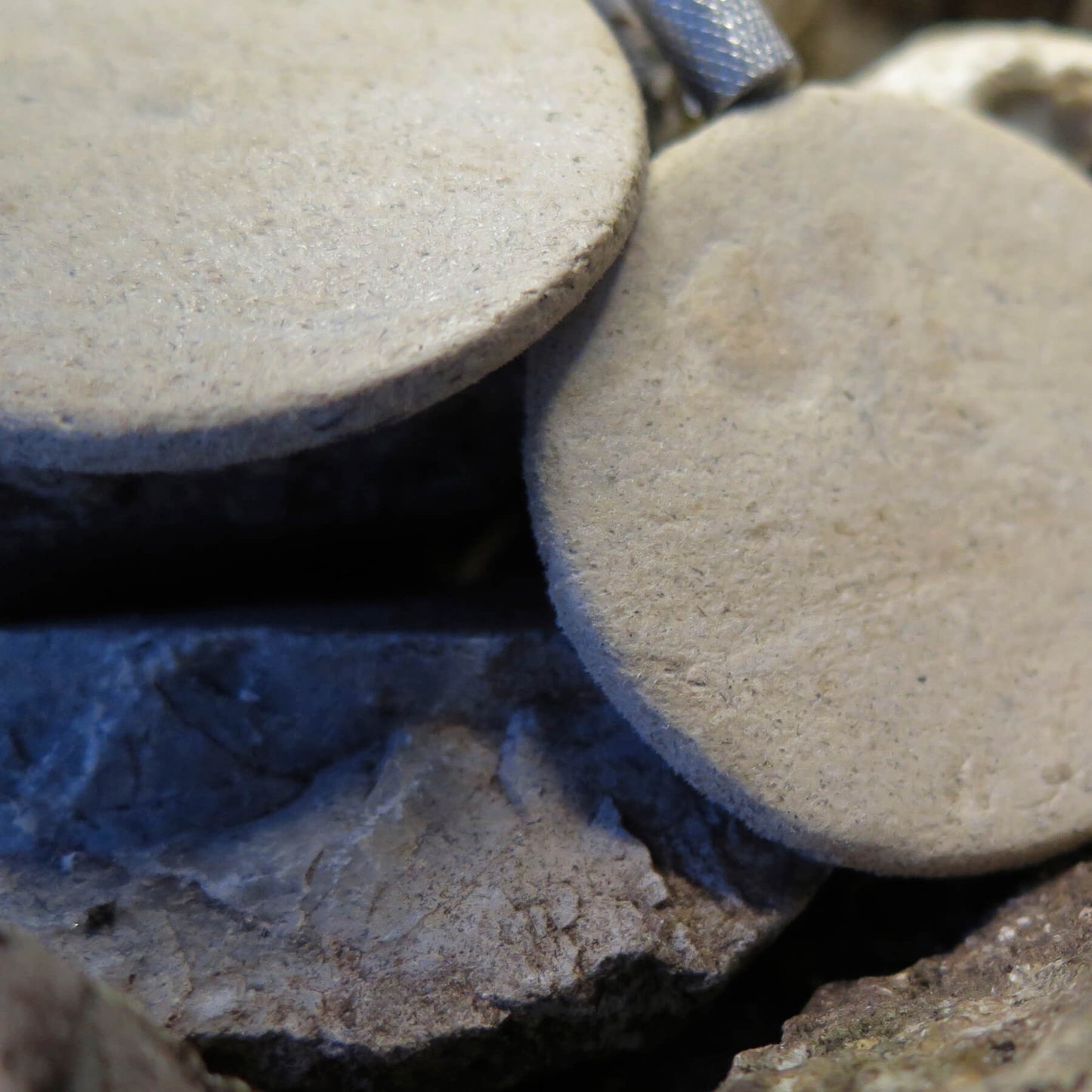 Natural stone small coin earrings with silver flute