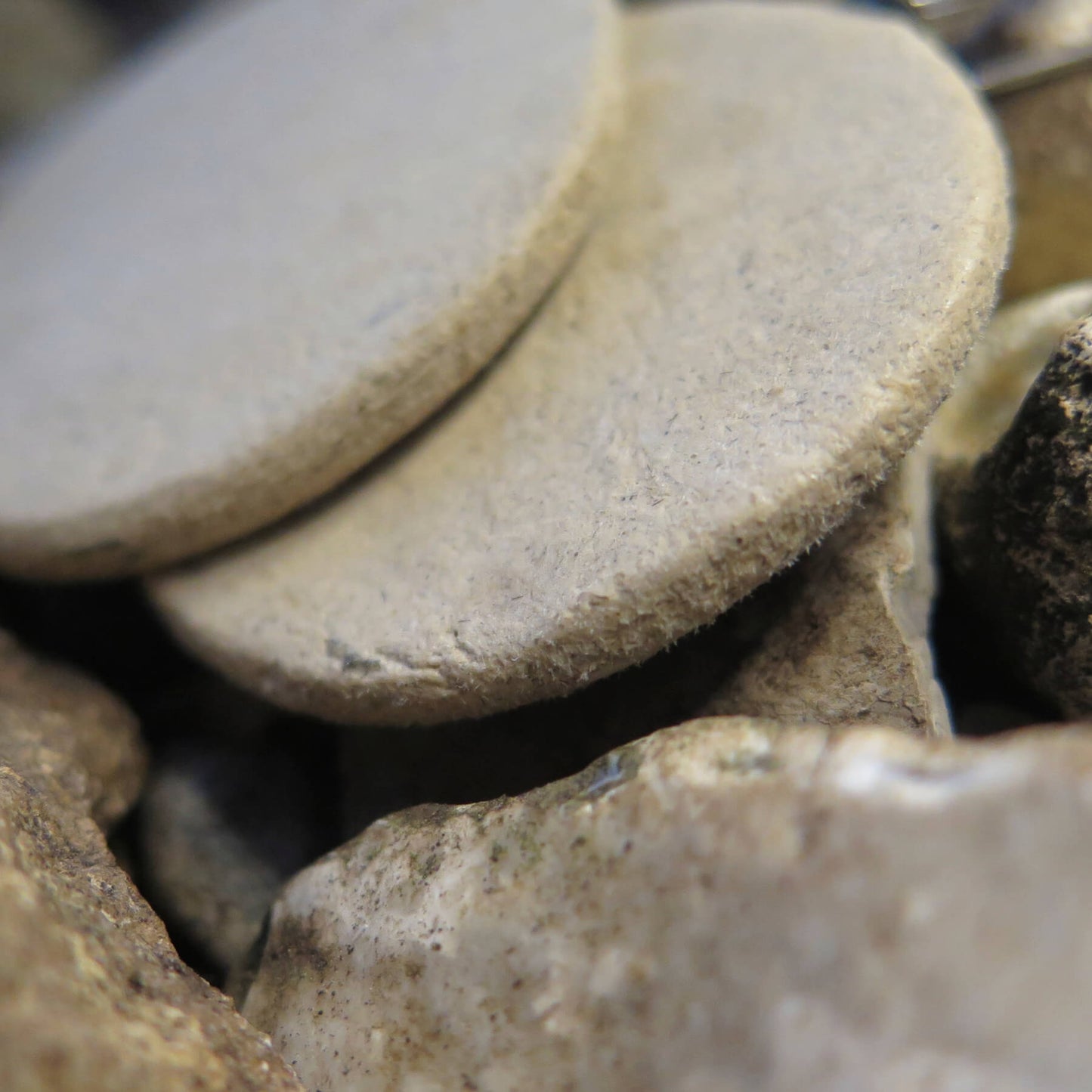 Natural stone small coin earrings with silver flute